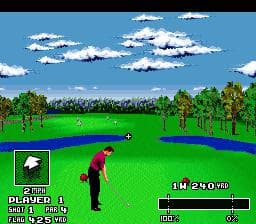 World Masters Golf