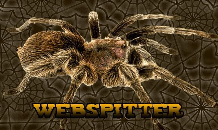 Webspitter screenshot 2