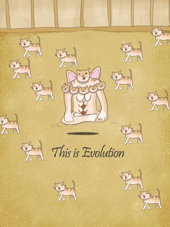 Cat Evolution Party
