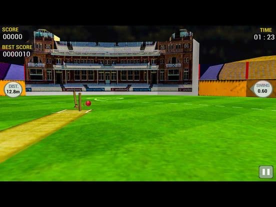 Cricket Run Out 3D