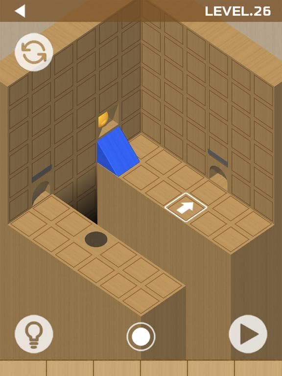 Woody Bricks and Ball Puzzles