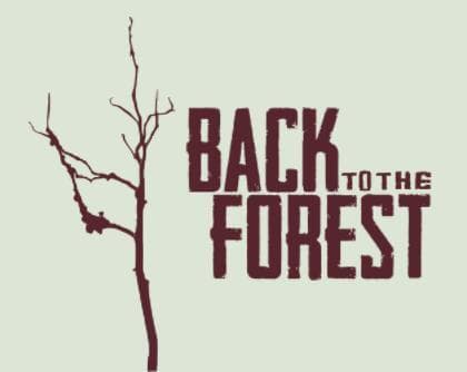Back to the Forest
