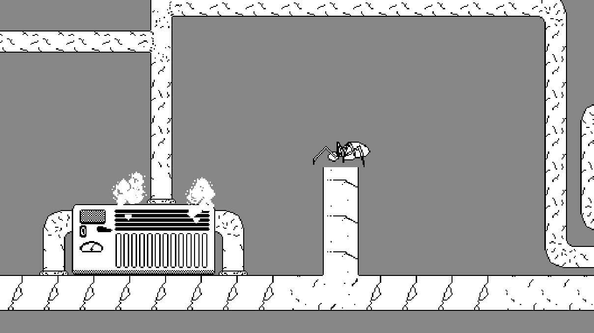 Lone Rider Spider
