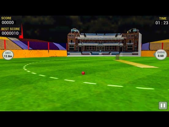 Cricket Run Out 3D screenshot 3