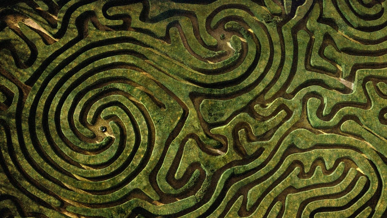 Maze (itch) (seymurm)