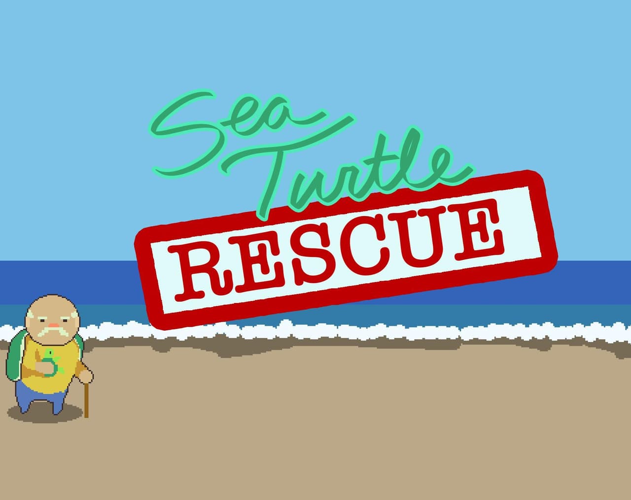 Sea Turtle: Rescue