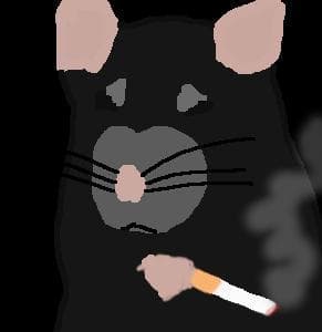 A Rats Life