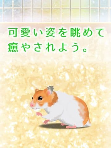 Hamster Game Free