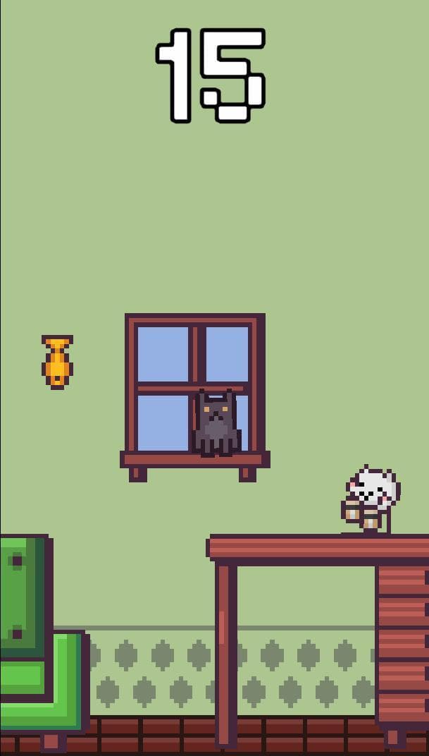 Cat Leap