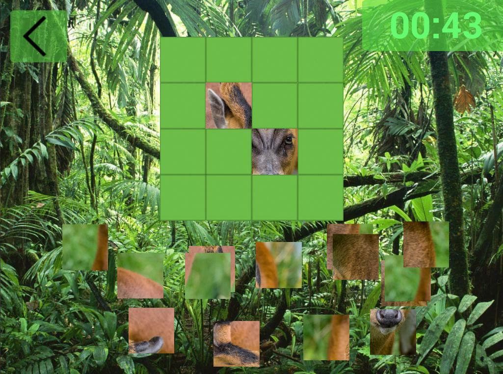 Ultimate Puzzles Animals 4 screenshot 6