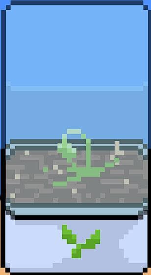 Plant in Globe