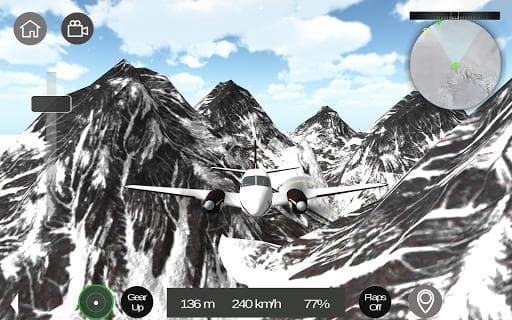 Flight Sim