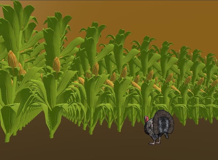 turkey likes corn