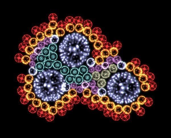 Microarium screenshot 4