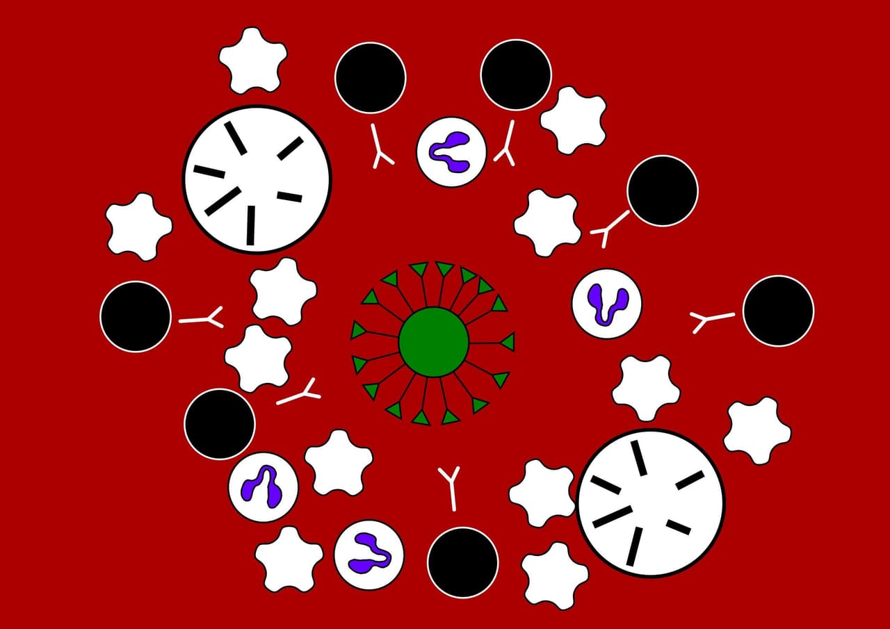 Virus infection