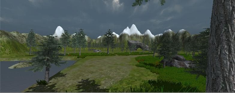 Environment