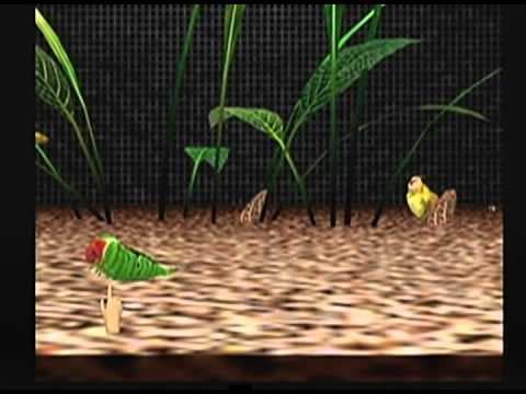 Seaman screenshot 4