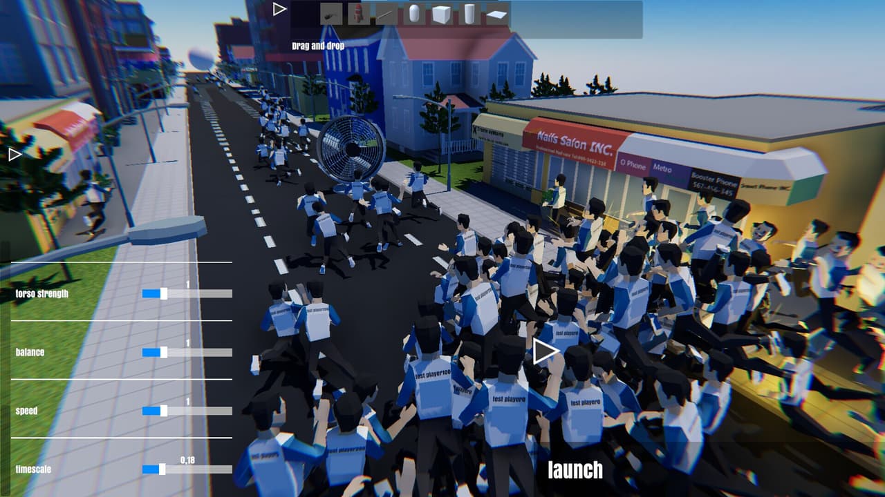 Chat Ragdoll Racing