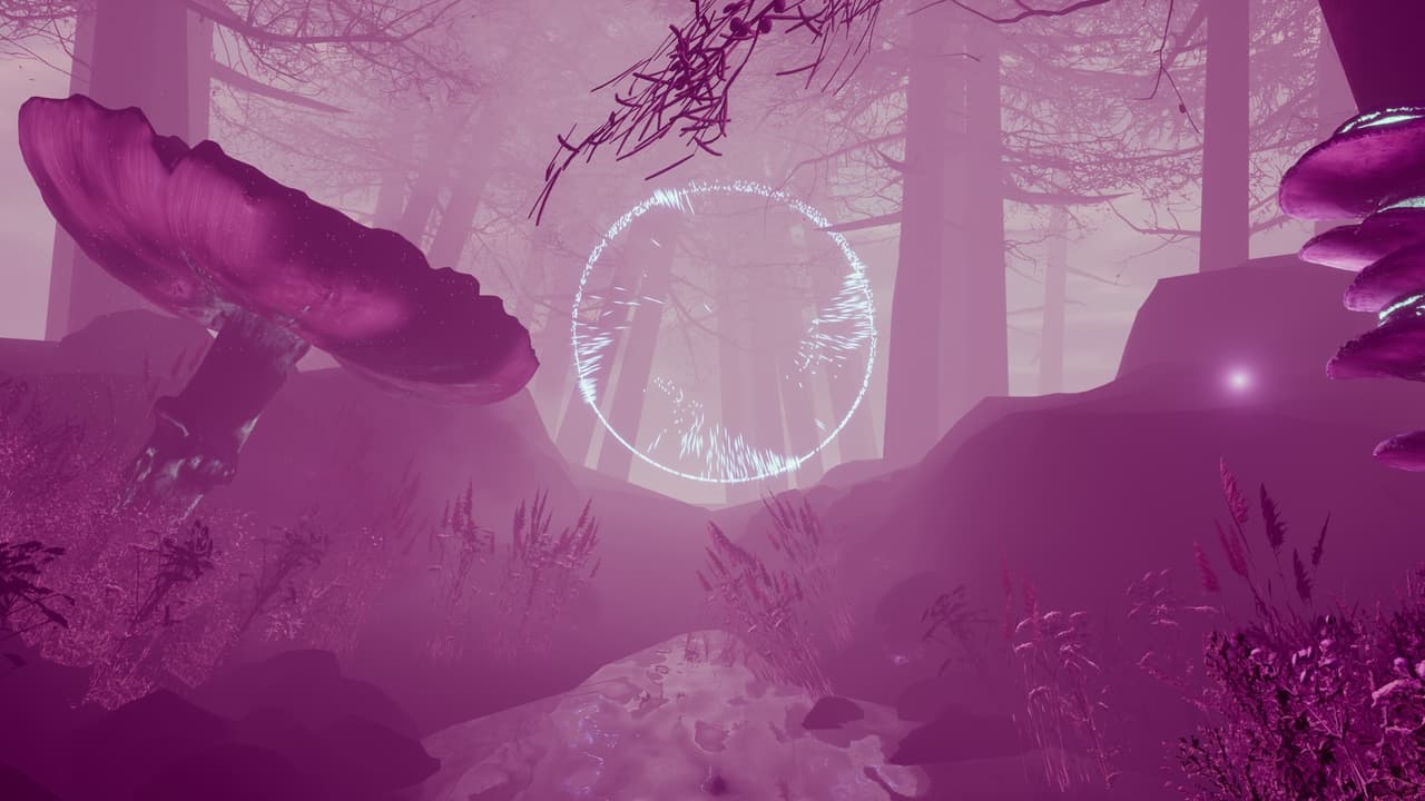 Anima screenshot 3