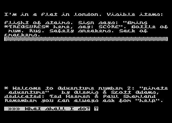 Pirate Adventure screenshot 5
