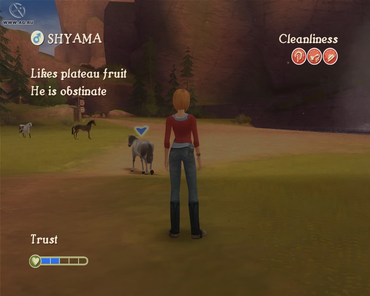 Petz Horse Club screenshot 5