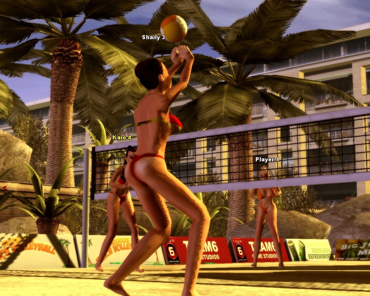Sunshine Beach Volleyball