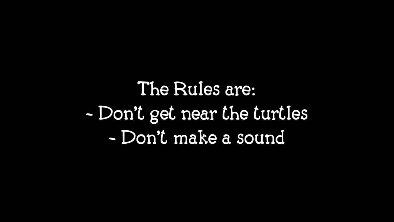 Dont Wake The Turtle