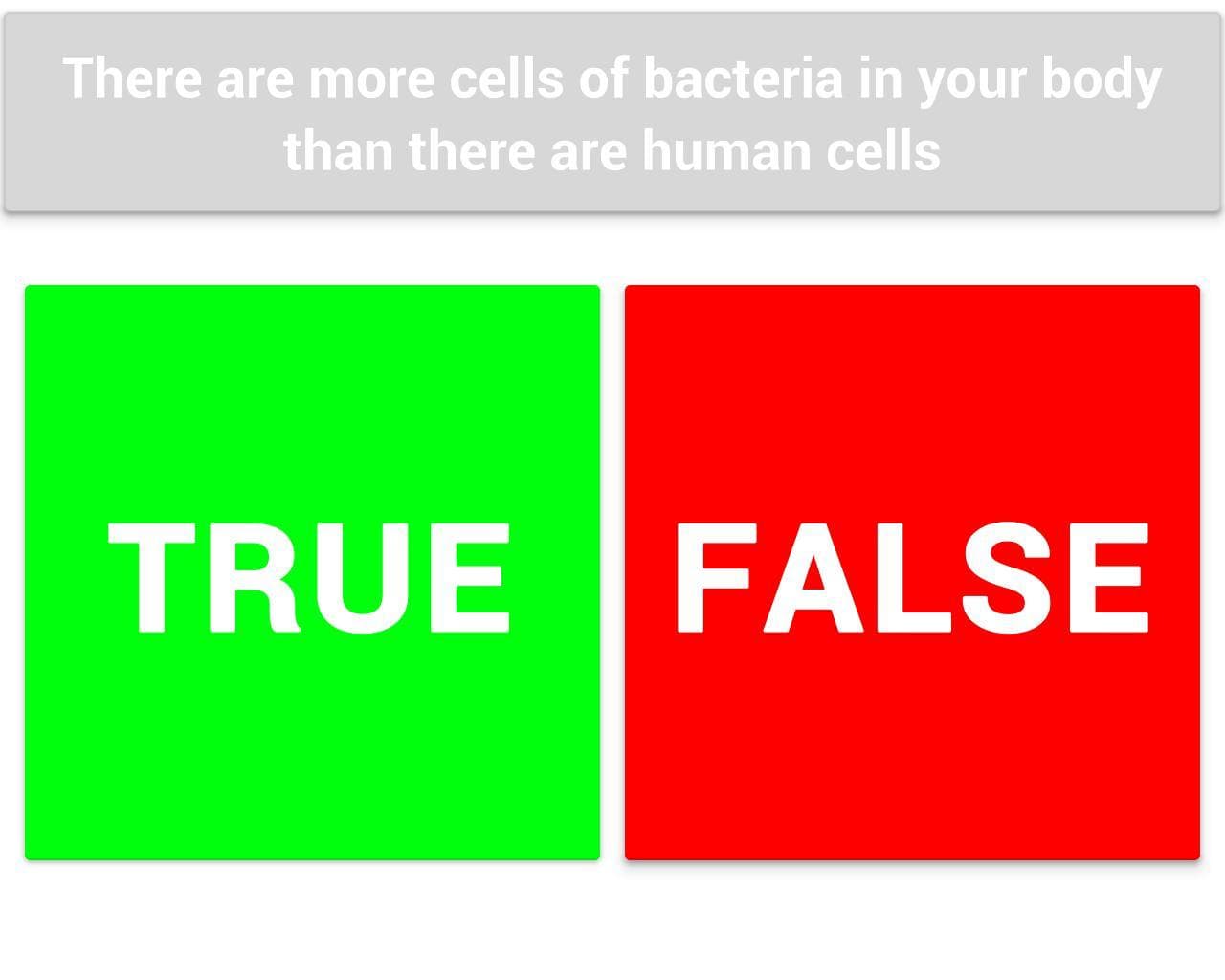 True or False (itch)