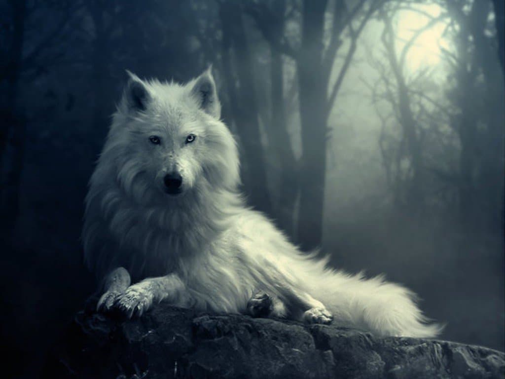 The Tale of the Winter Wolf