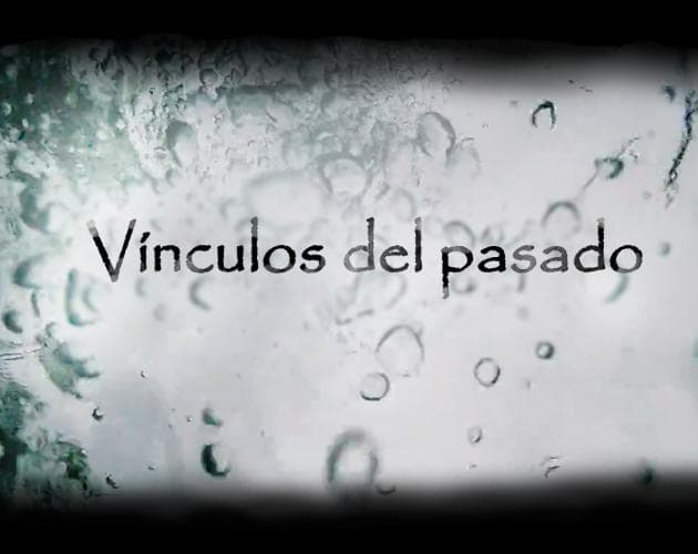 Vínculos del pasado