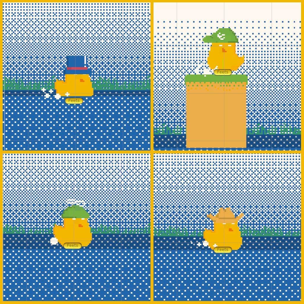 Wonderful Duck