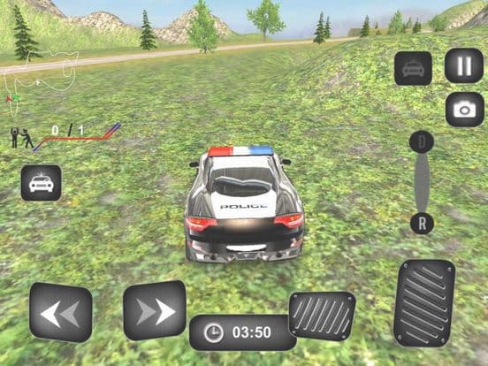 Driving Police Car HillRoad