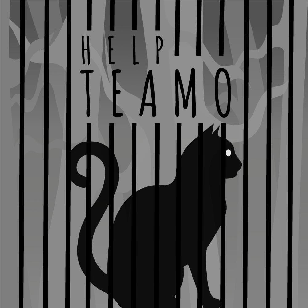 Teamo