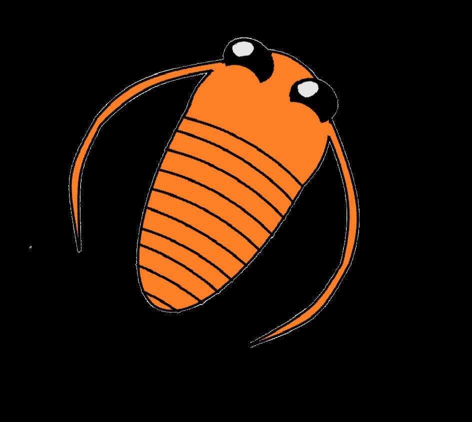 Rambopepode