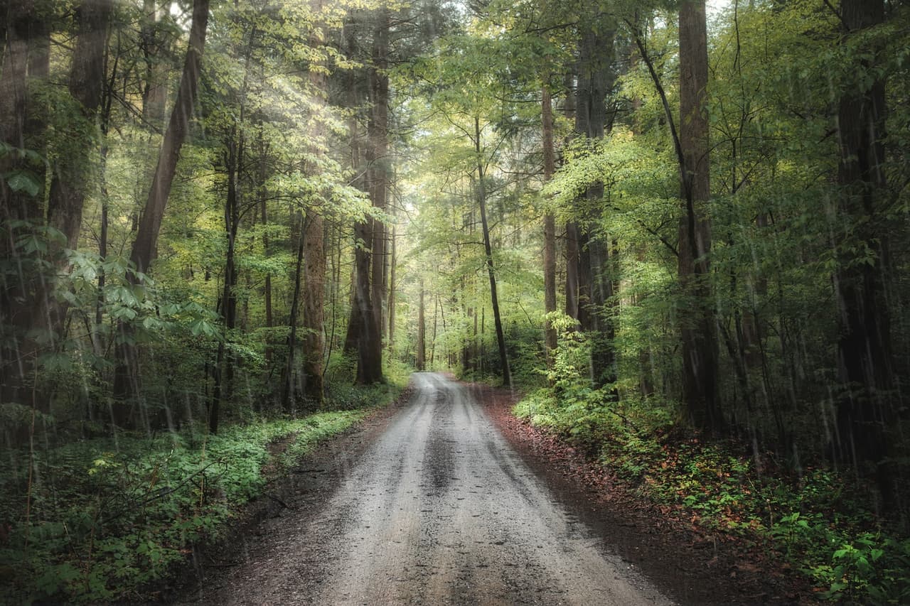 Robounzel: Chapter 1, New Beginnings