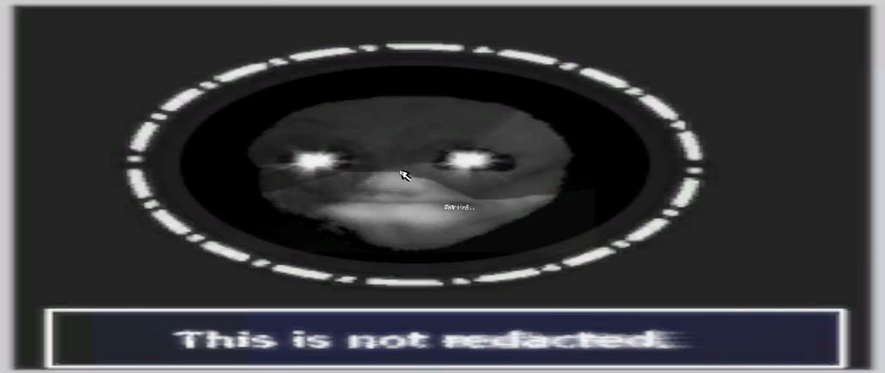 Redaxium screenshot 3