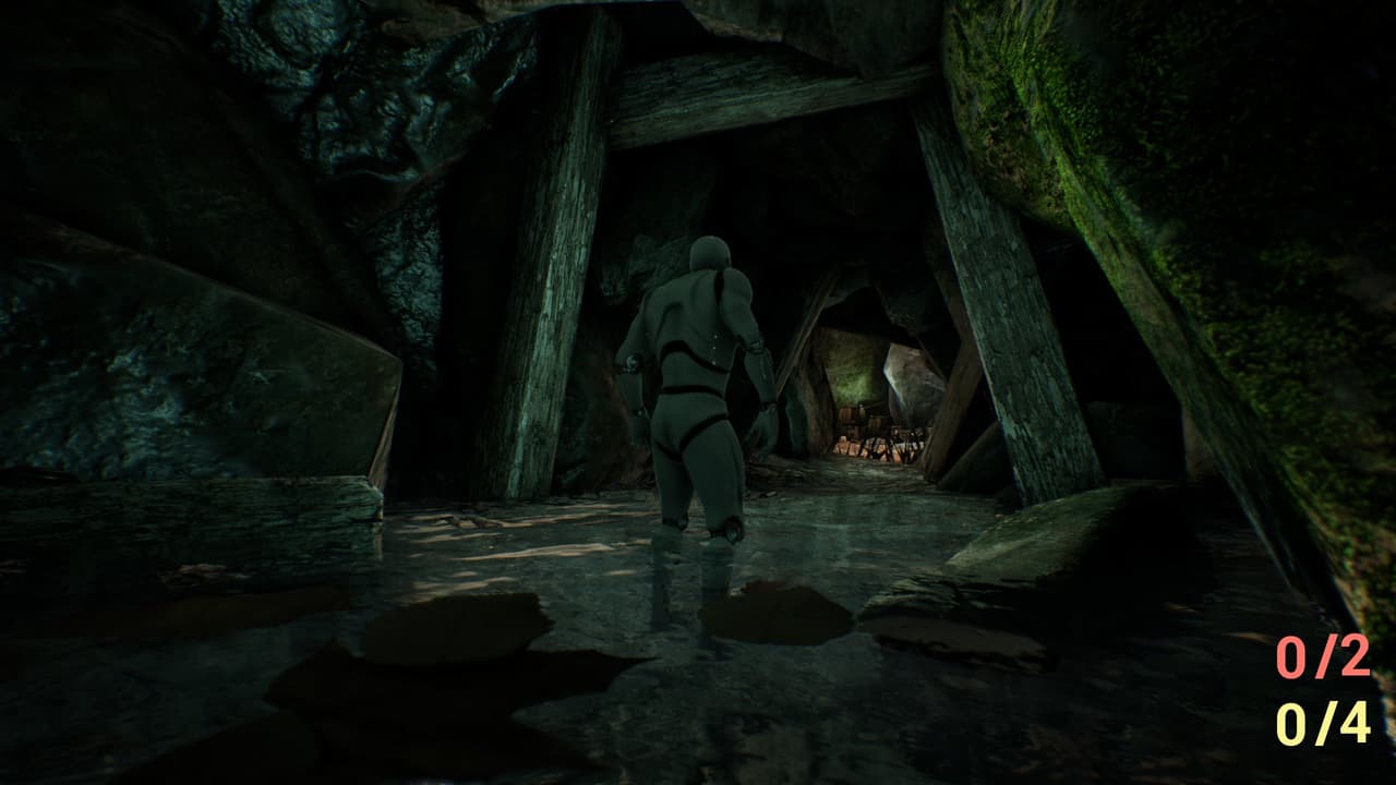 Cave Level