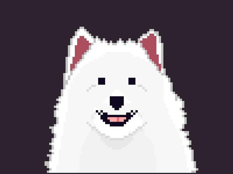 Dogtrick