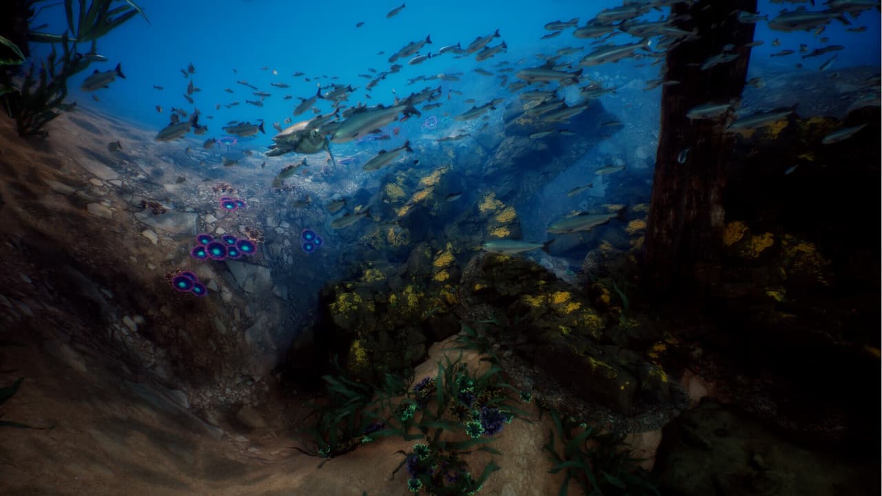 Pearl of the Desert screenshot 4