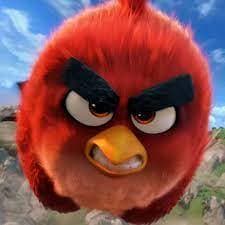 DA BIRD