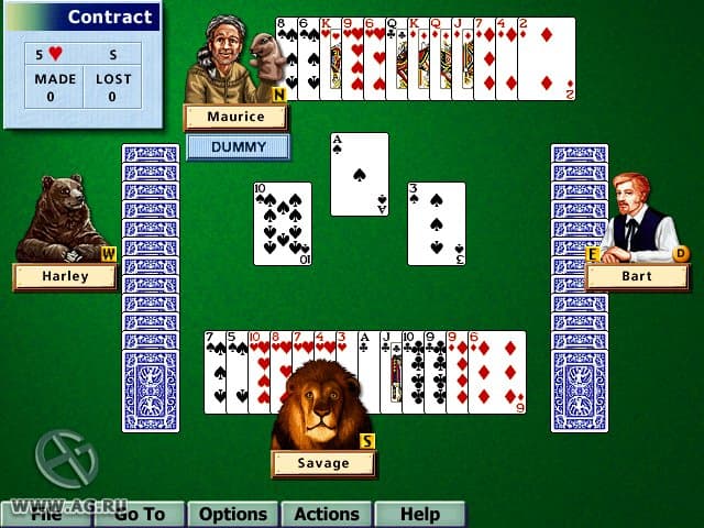 Hoyle Card Games 5 screenshot 2