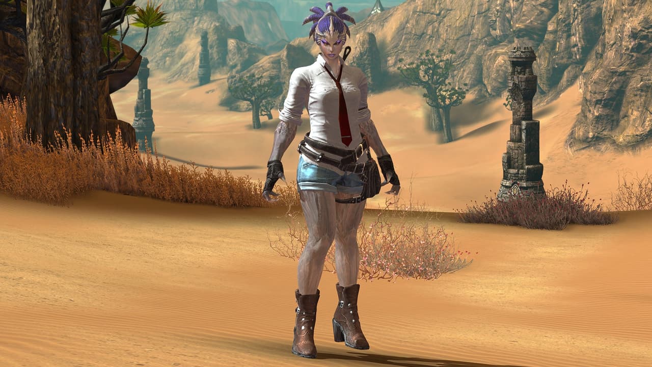 TERA: PUBG Combat Casual Pack