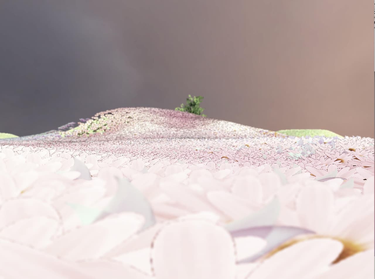LB screenshot 2