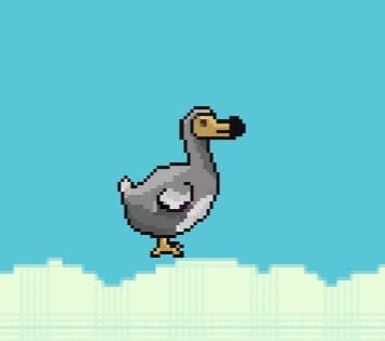 Flappy Dodo (BIK_115)