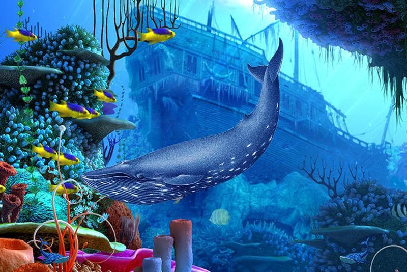 Blue Whale Attack Simulator 2017