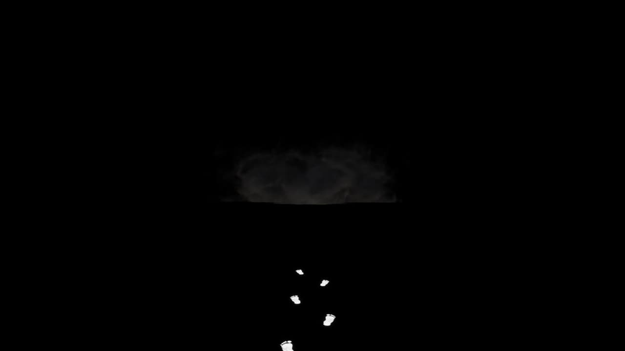 The Longest Walk screenshot 2