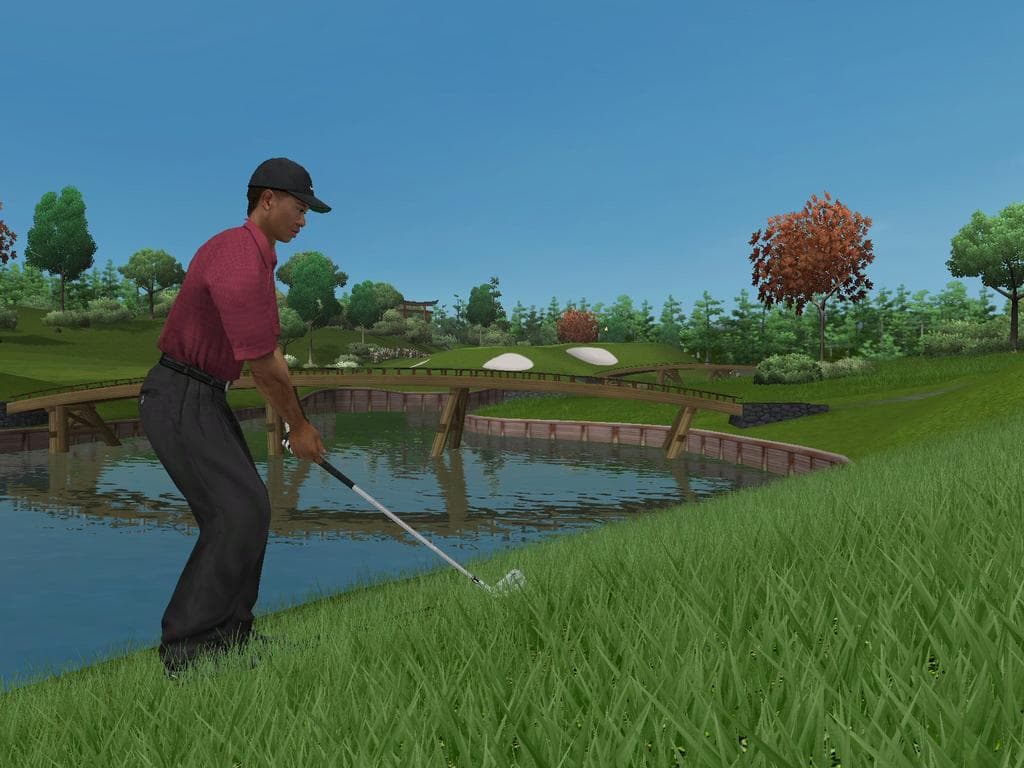 Tiger Woods PGA Tour 2005 screenshot 6