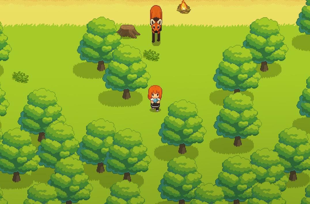 Strange Morning in the Woods