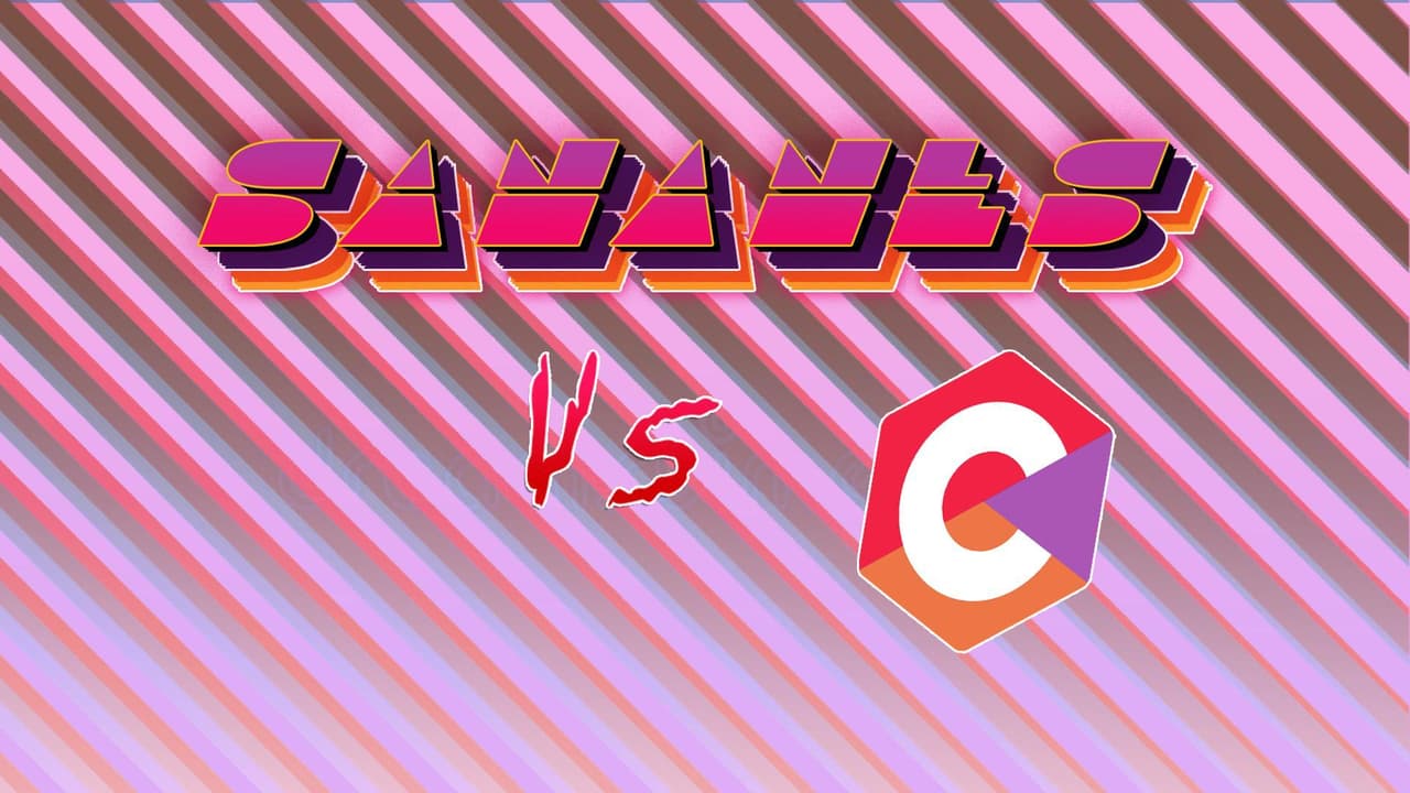 Sananes vs C