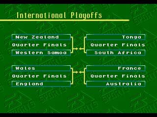 Australian Rugby League screenshot 6